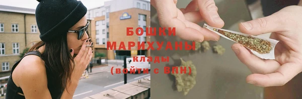 дживик Переславль-Залесский