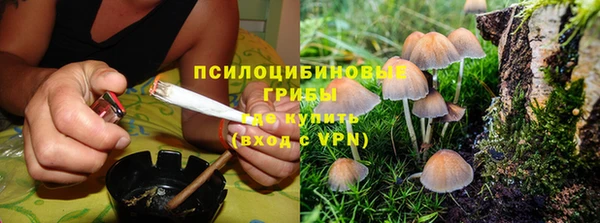 дживик Переславль-Залесский
